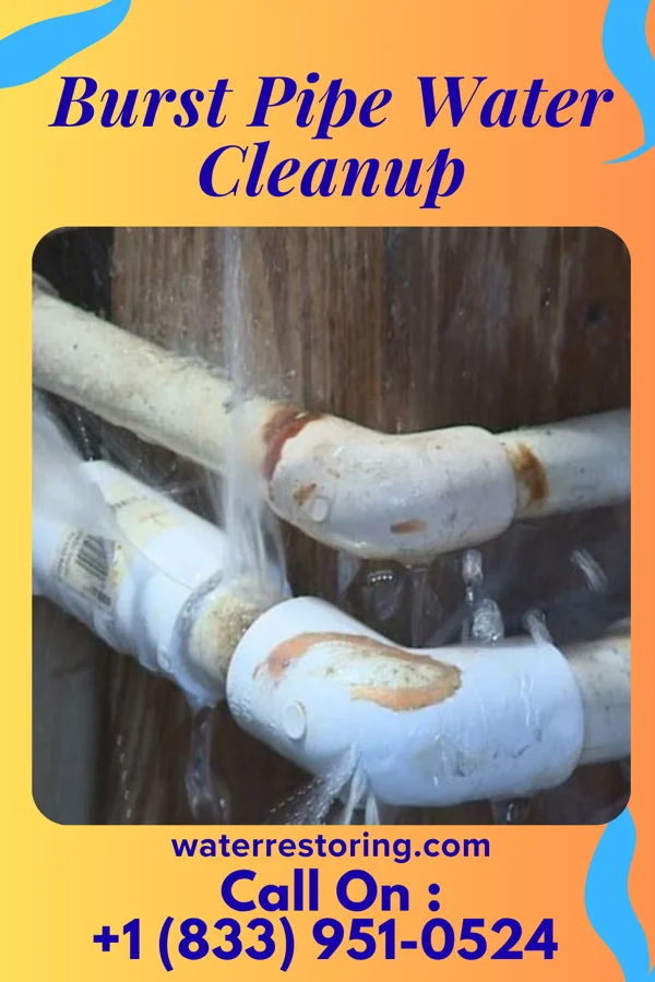 Burst Pipe Water Cleanup in Shamrock Lakes, IN