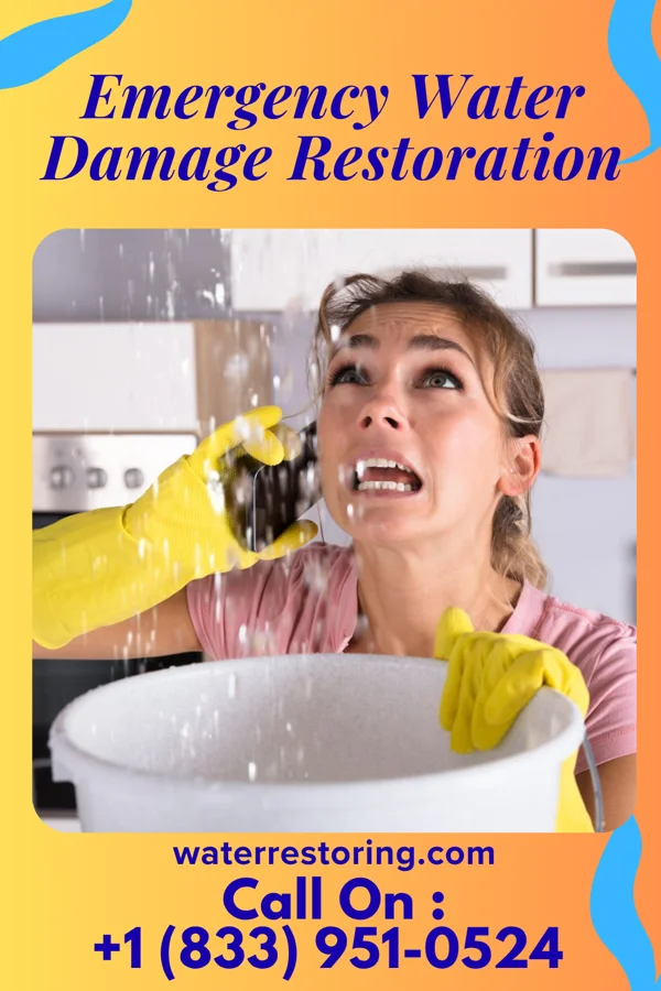 Emergency Water Damage Restoration in Shamrock Lakes, IN