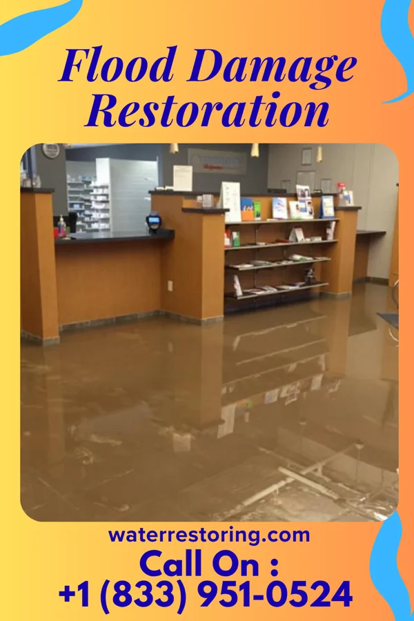 Flood Damage Restoration in Shamrock Lakes, IN