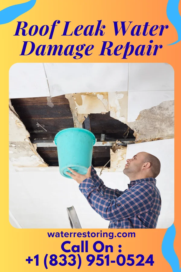 Roof Leak Water Damage Repair in Shamrock Lakes, IN