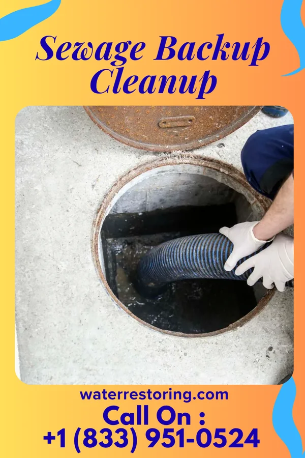 Sewage Backup Cleanup in Shamrock Lakes, IN